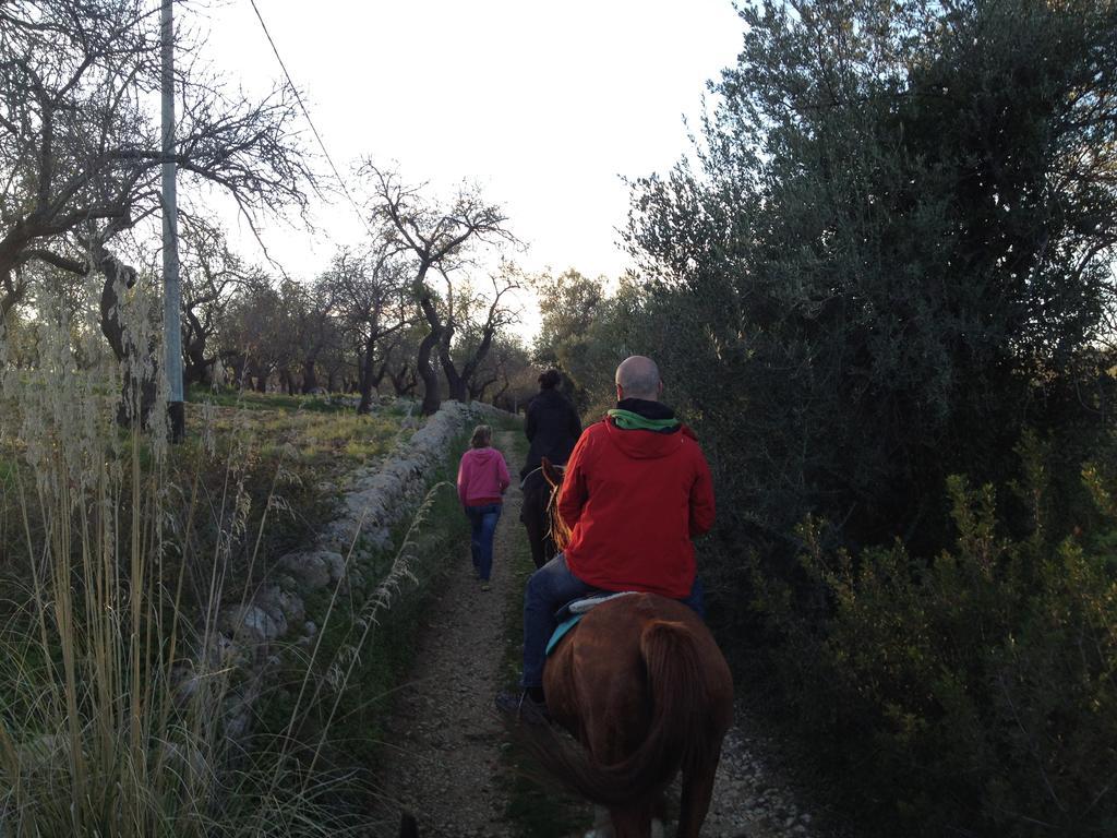 Agriturismo Vita E Natura Villa Noto Exteriör bild
