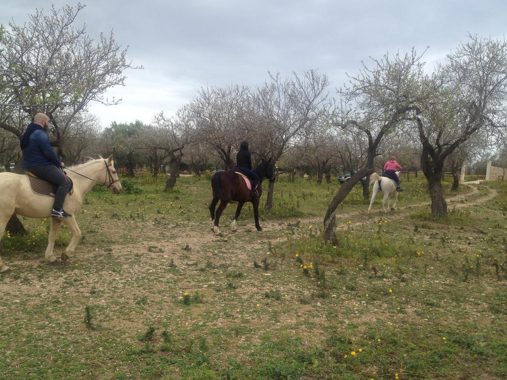 Agriturismo Vita E Natura Villa Noto Exteriör bild