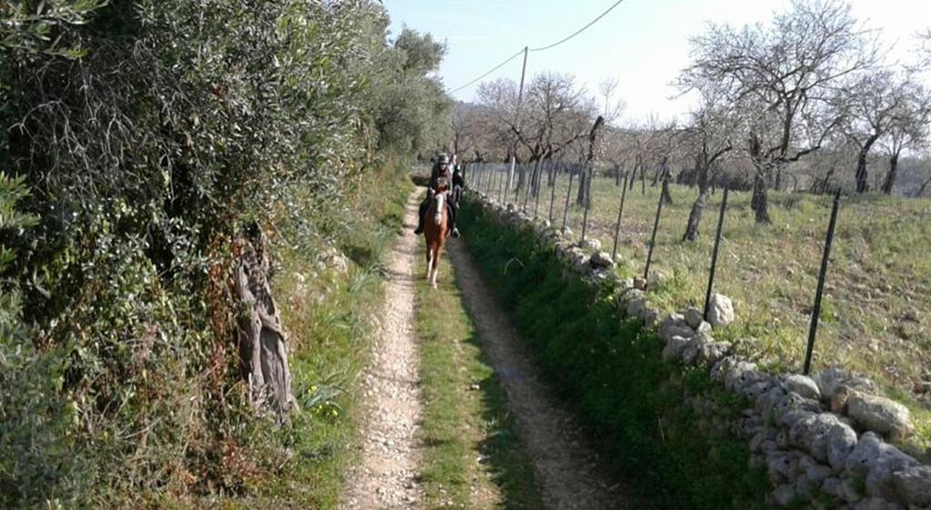 Agriturismo Vita E Natura Villa Noto Exteriör bild